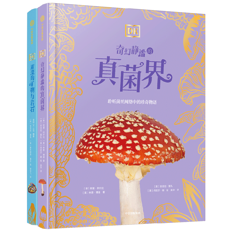 ���ų��� DK���沩��ݣ�ȫ2�ᣩ 100.0Ԫ����100Ԫ/����