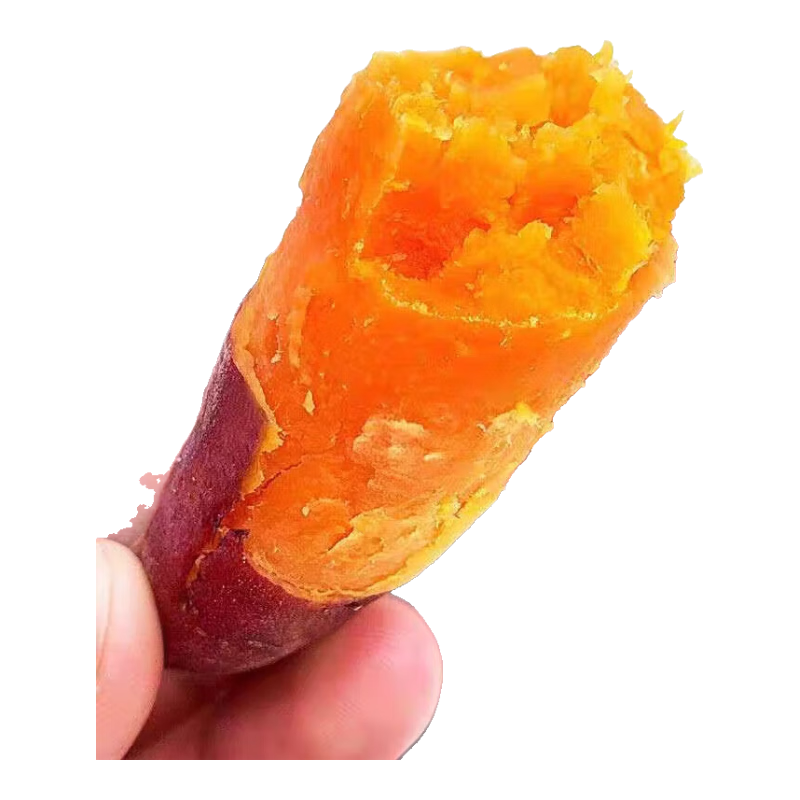 现挖沙地西瓜红蜜薯红薯新鲜农家糖心番薯烤地瓜山芋软糯批发包邮 西瓜红蜜薯2斤装中小果 含箱