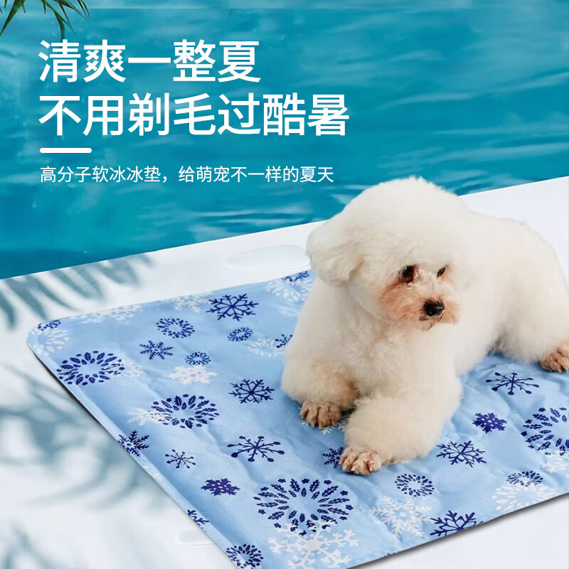 �������� ��������