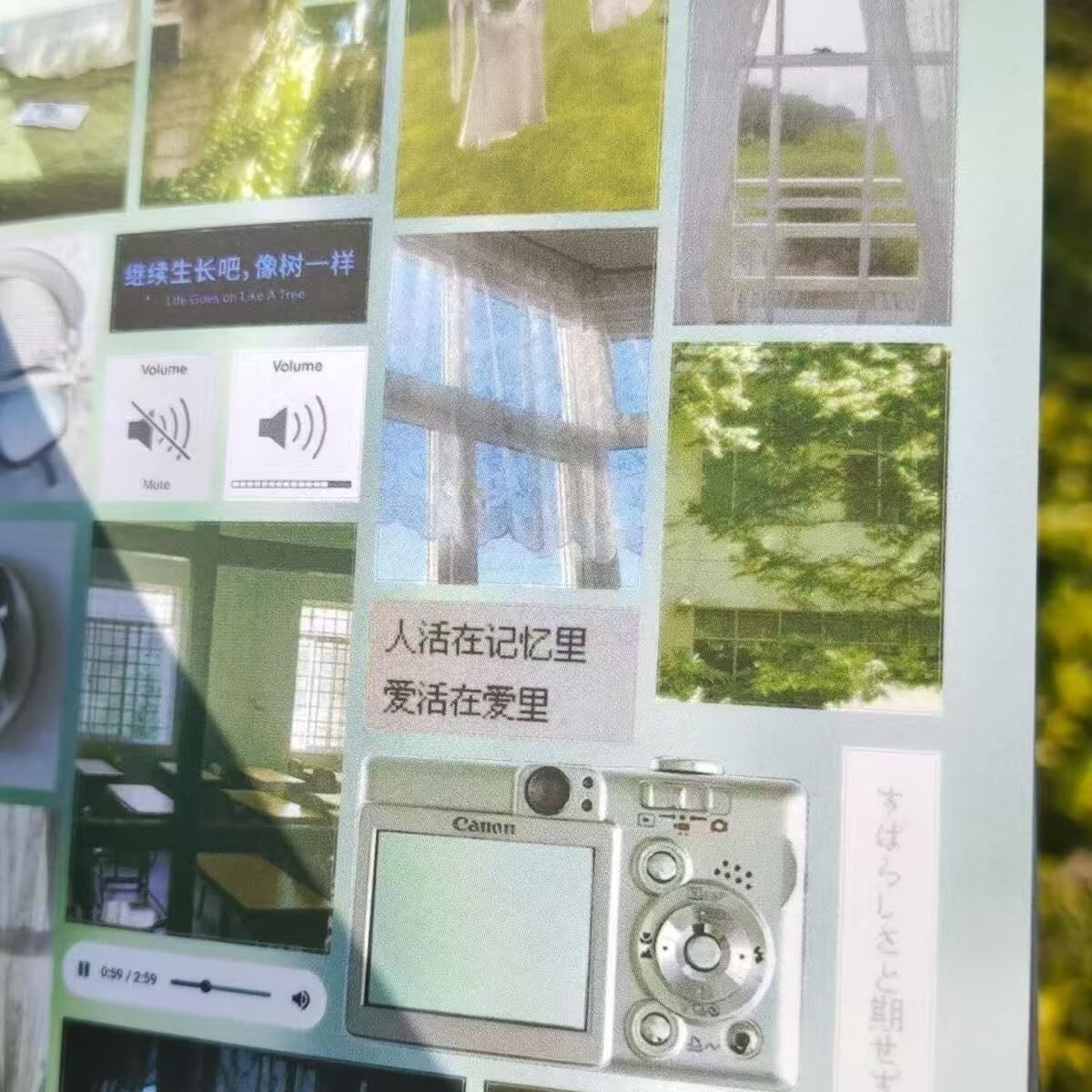 治愈早春贴纸书手帐本切膜学生日记diy树叶绿色装饰素材ins风 早春日记贴纸书2本【48张】+镊子