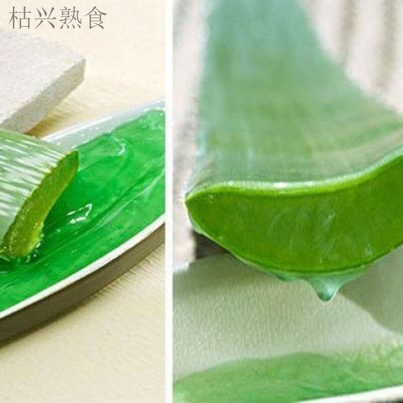 痴宴元江芦荟丁罐头云南特产芦荟芦荟食用可吃食用芦荟芦荟丁开袋 1袋芦荟丁*300克