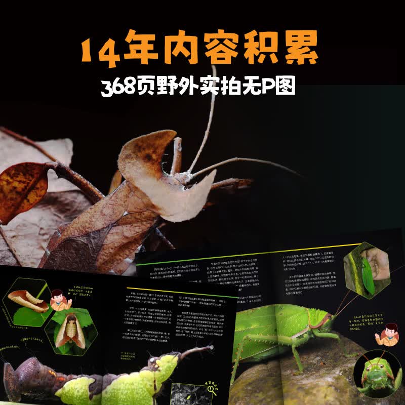 图 6