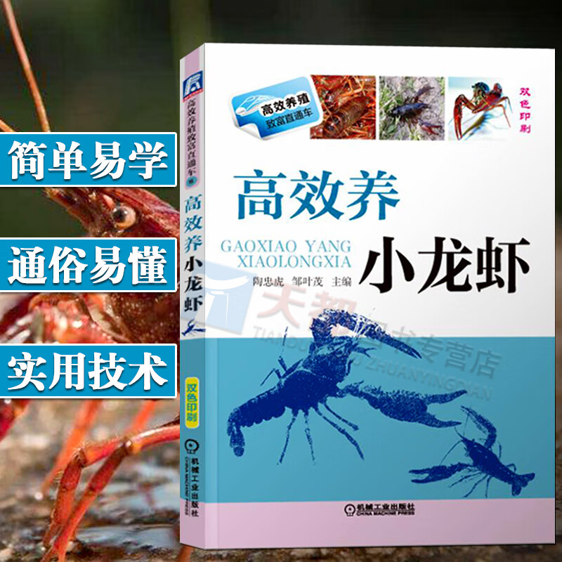 养龙虾技术和视频教程(养龙虾的基本知识视频讲解)