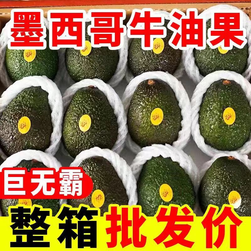 秘鲁进口牛油果新鲜哈斯水果孕妇宝宝辅食鳄梨应季水果墨西哥 单果【100-130g】中果2个装