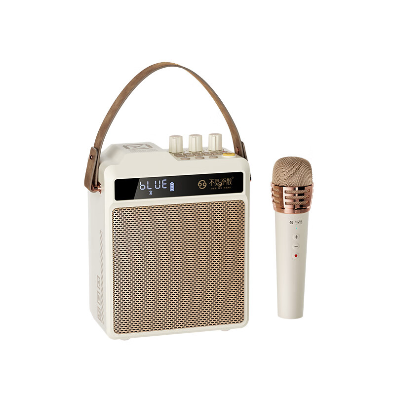 不见不散N5家用专业K歌音响手提户外便携式大音量手持麦克风卡拉OK广场舞无线蓝牙礼物小音箱 云岩白【双麦版】+32G卡