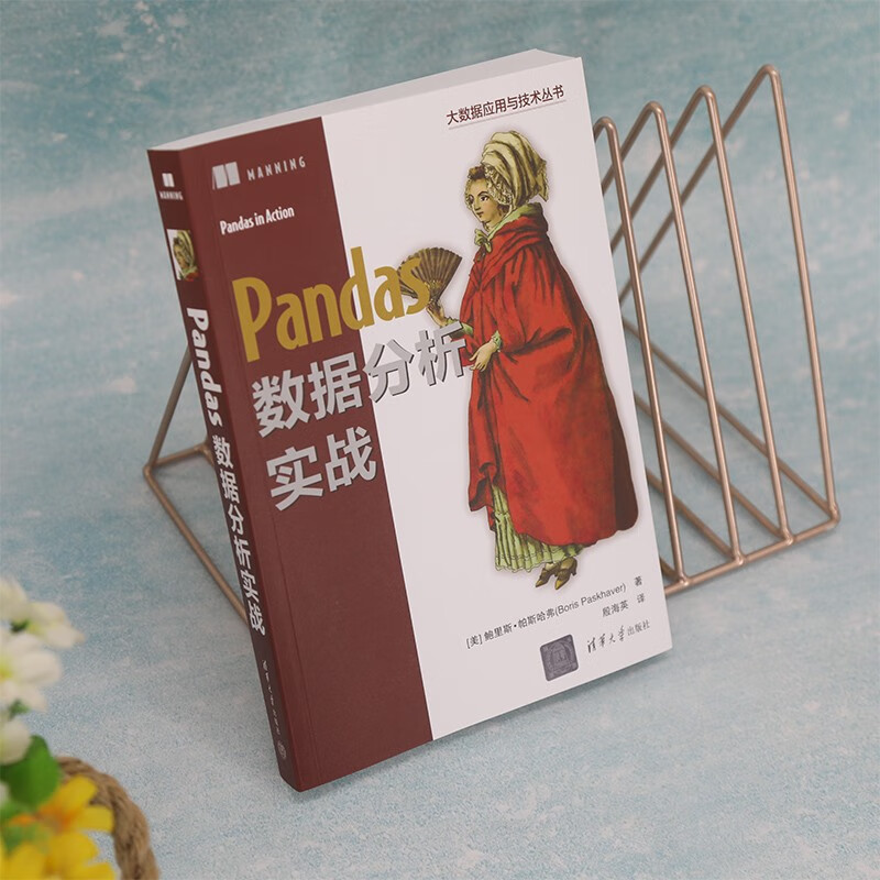 Pandas数据分析实战/大数据应用与技术丛书详情图