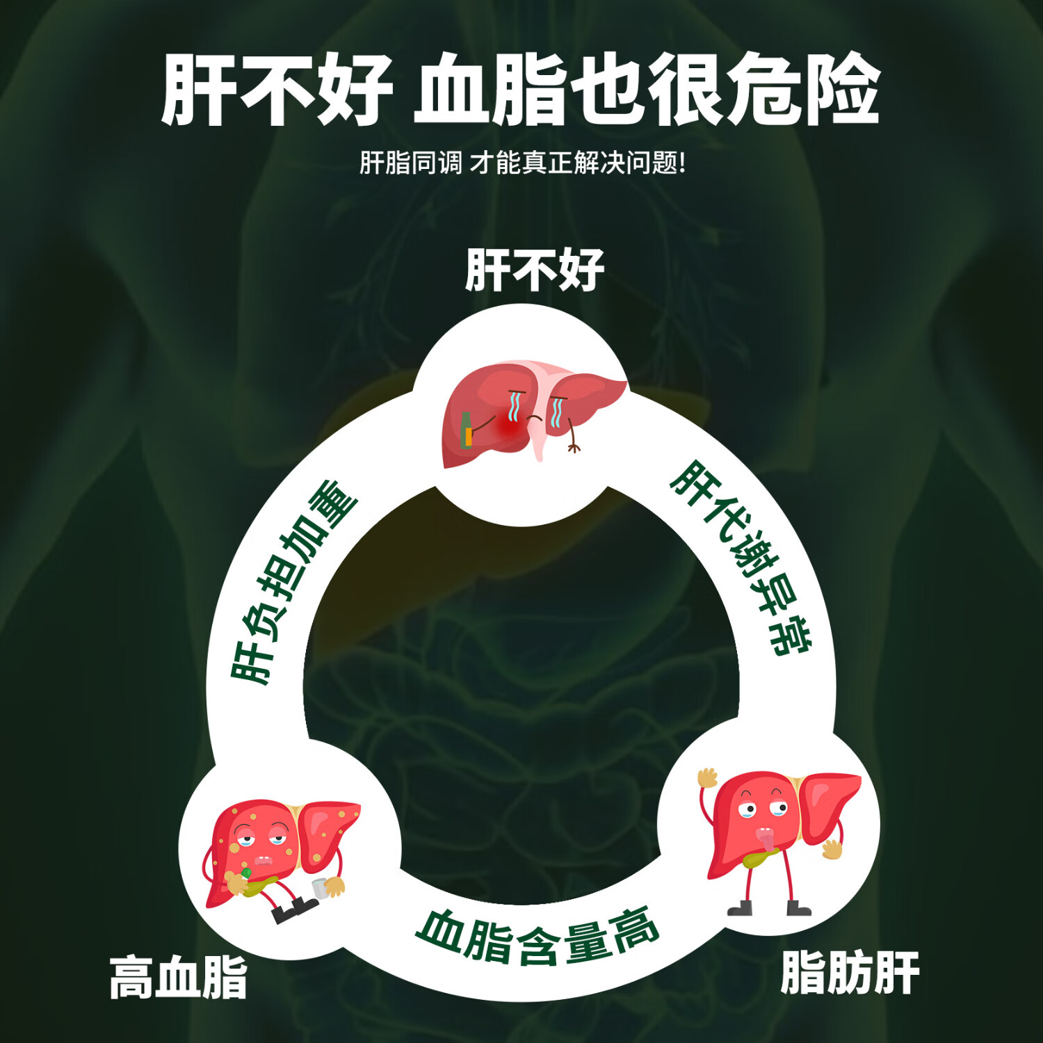 生机汉方葛根黄芪三七粉茶辅助保护肝养肝维持血脂健康补品礼物送长辈实用 14袋*1盒