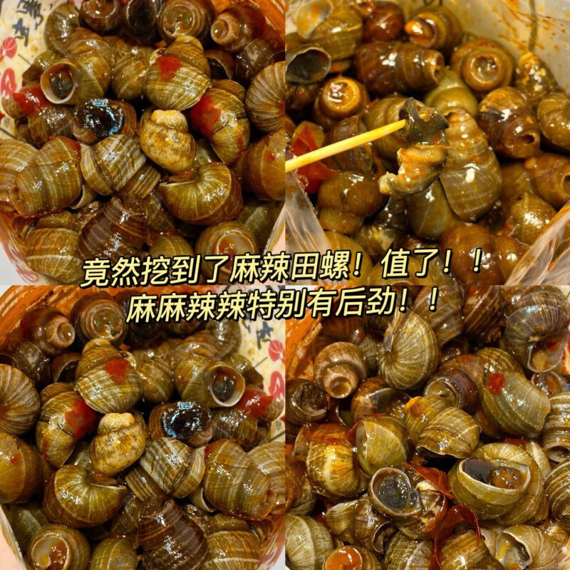 里奈の零食麻辣田螺開袋即食香辣螺螄螺絲肉大袋裝口味嗦螺海鮮小吃熟食 活動中：【*6大袋】買4送2_香辣