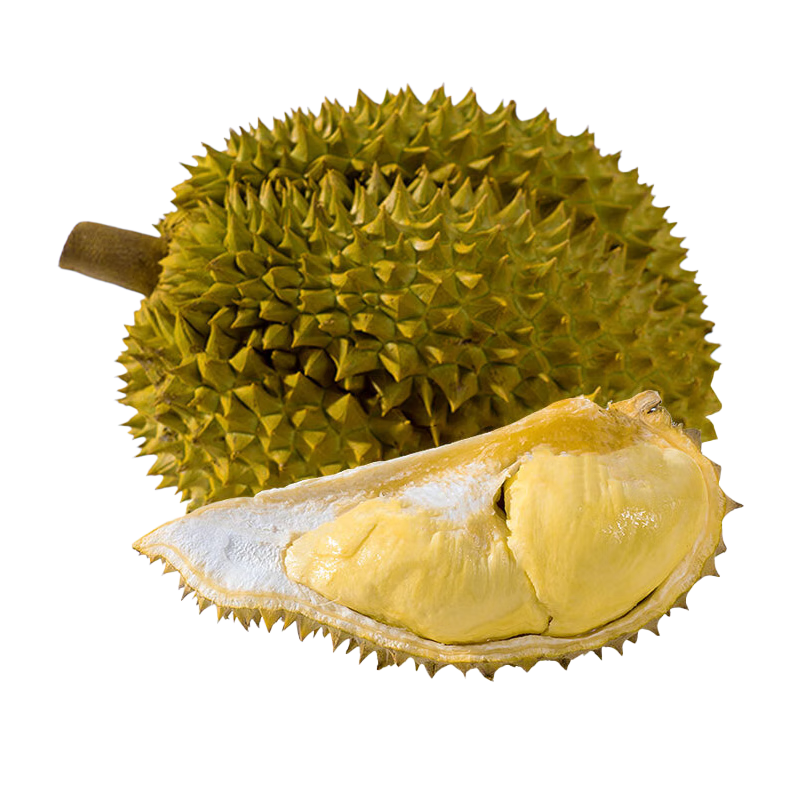 ���ش�������������̩������ͷ����5�����4��������ʹ�Դͷֱ������ 239.9Ԫ