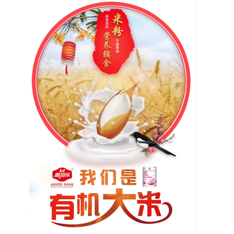 雅因乐有机米粉益生菌婴儿辅食宝宝营养高铁米粉老人米糊罐装460g 益生菌有机米粉/罐 460g*1罐