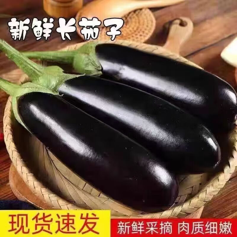 商品图片 5