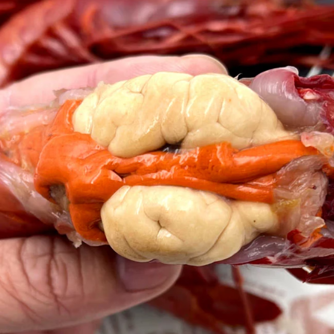 红魔虾新鲜特大号红虾鲜活冷冻刺身虾海虾超大虾水产顺丰网红同款 刺身级别正宗红魔虾 400g(净重)  【约2-4只/斤】（网红爆款）