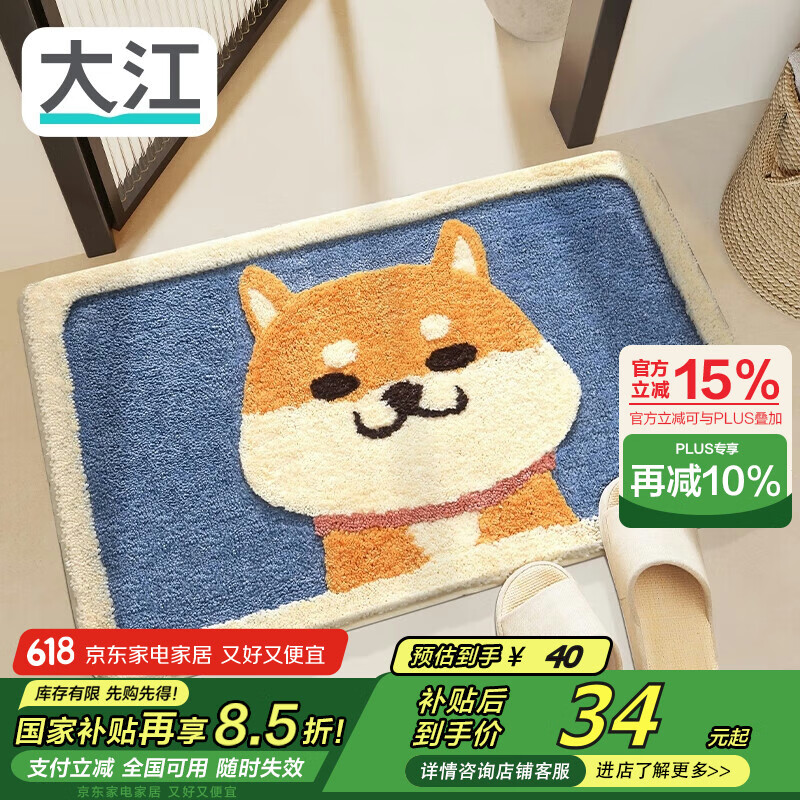 大江地垫浴室脚垫 卫生间吸水地垫卫浴厕所防滑45x65cm