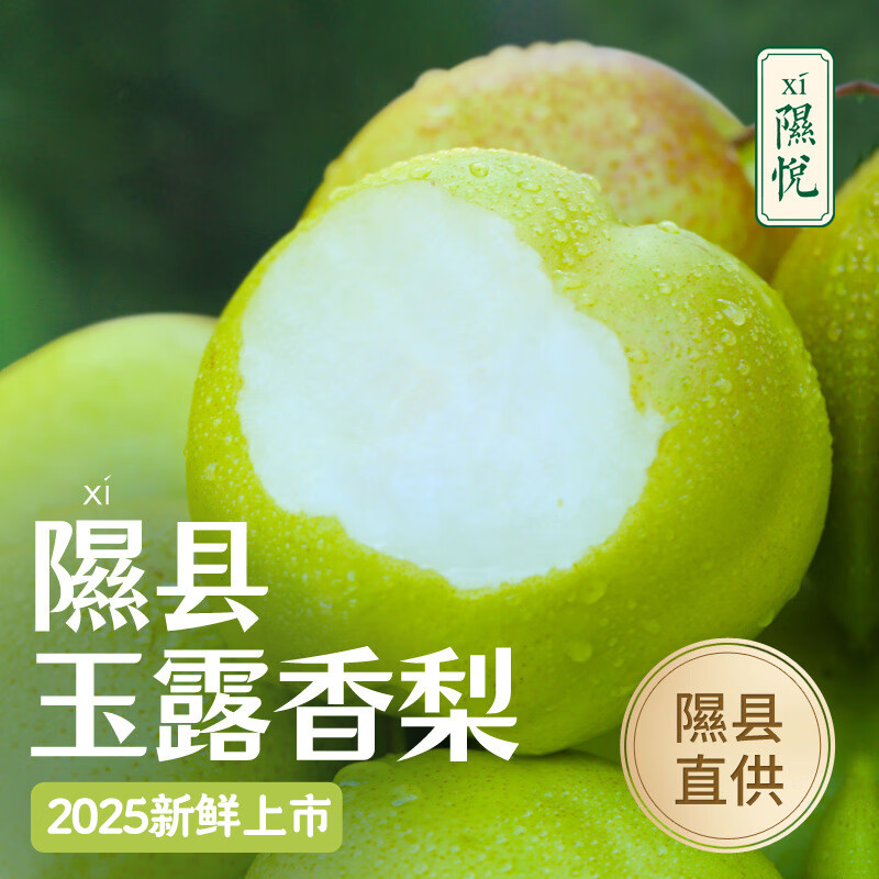 隰(xi)悦【顺丰】隰县玉露香梨当季水果山西隰县小西天特产孕妇水果送礼 12粒特大果(净重约9斤)90+mm