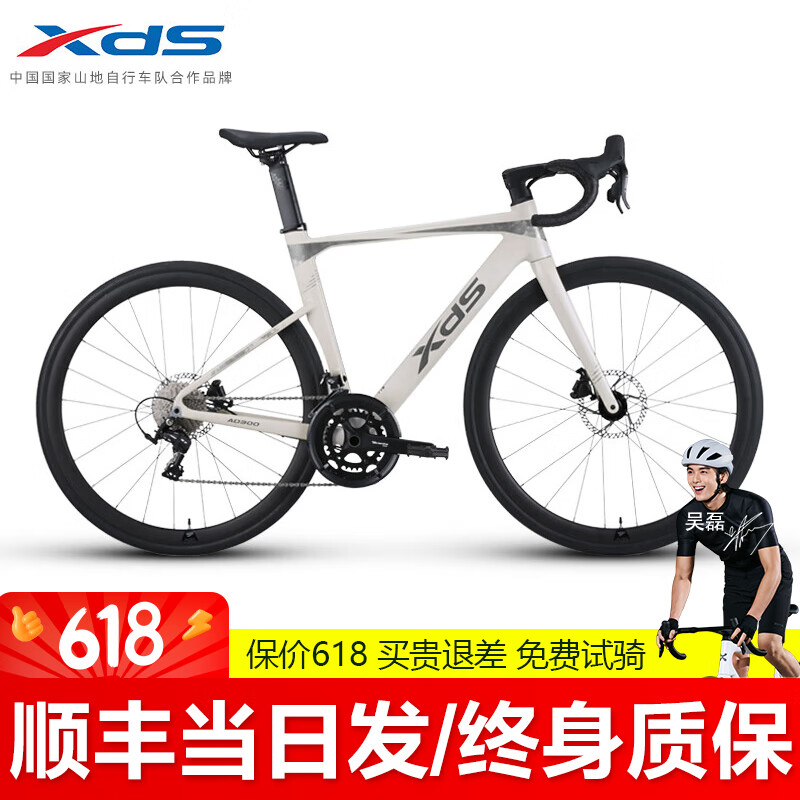 喜德盛2025新品AD300铝合金UCI破风车架公路车自行车2x10变速车油压碟刹 白蛇涂装 20速 顺丰包邮 送货上门 510mm （推荐身高176-185）