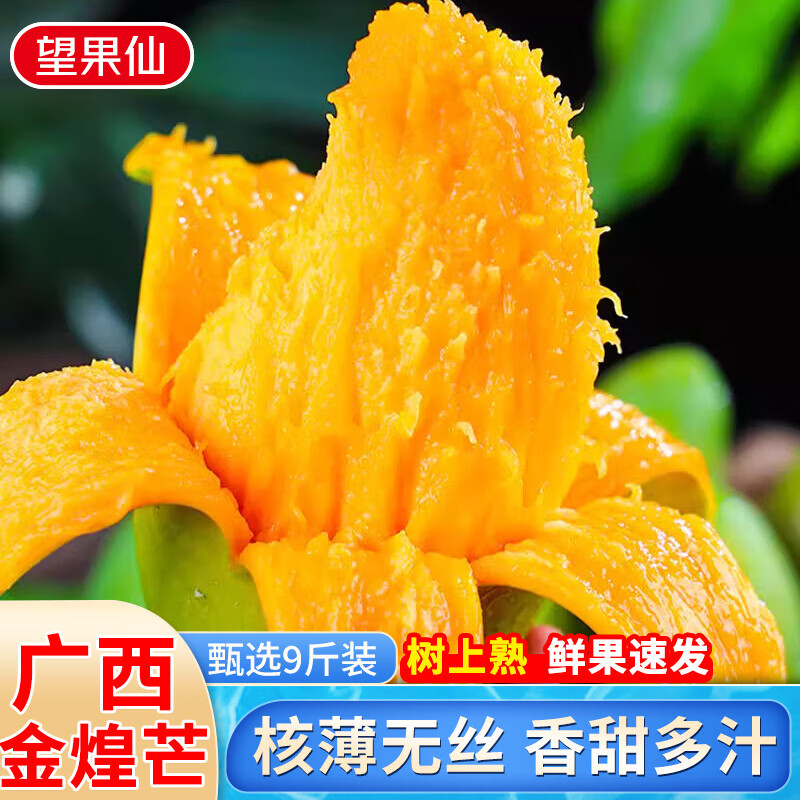 京地达广西芒果金煌芒大芒果净重9斤单果250g+新鲜水果孕妇水果源头包邮