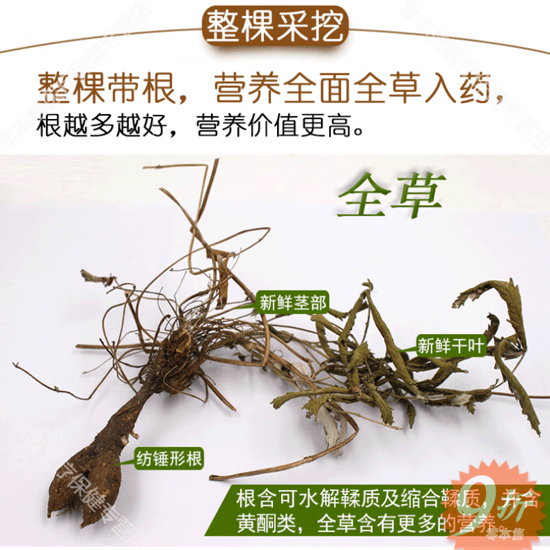 同仁堂【官方大药房直售】翻白草中草药恋飘飘翻白草500.g整颗带根新鲜 买3送1 非同仁堂地骨皮 翻白草500..克新货