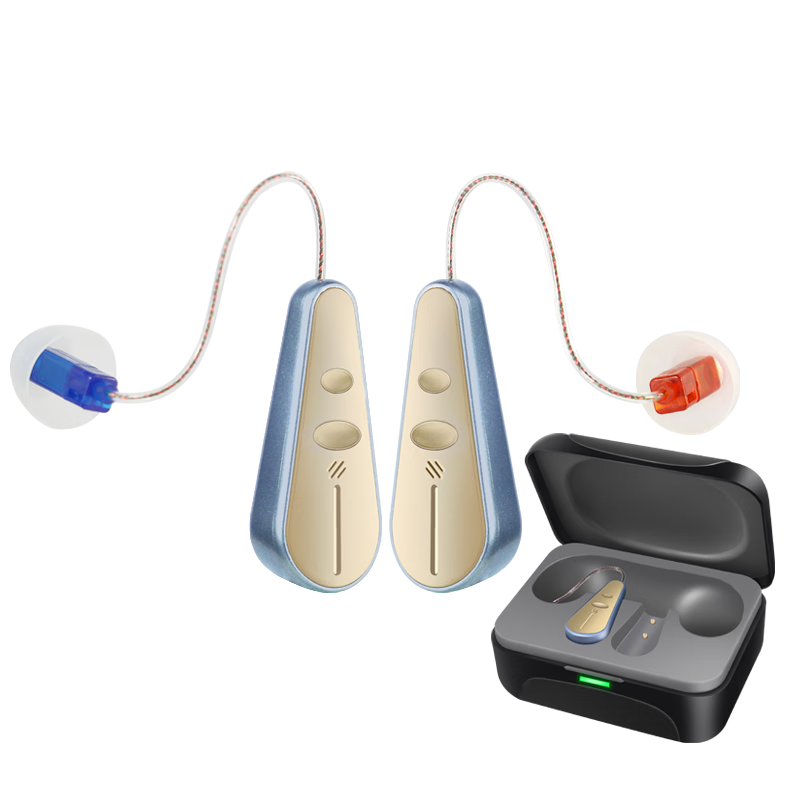 中德（ZhongDe）ZDB-101助听器 充电式老人耳聋耳背隐形专用助听器 ZDB-103T16通道双耳+2年换