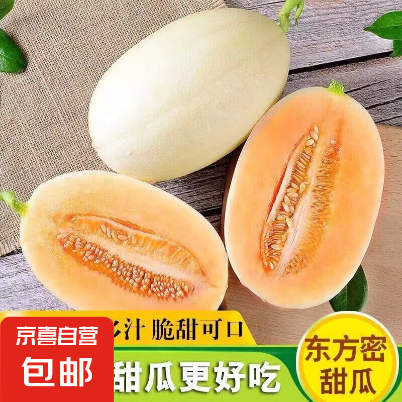 正宗東方蜜甜瓜 新鮮現(xiàn)摘脆甜爽口1斤-5斤 1斤-1.5斤