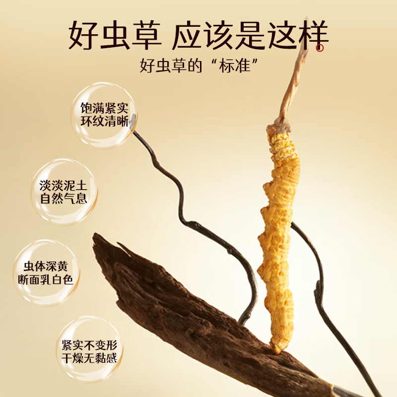 万妃洱冬虫夏草滋补高品质虫草营养品礼盒装送领导长辈实惠自用囤货礼盒 5根【新客尝鲜】5根/g