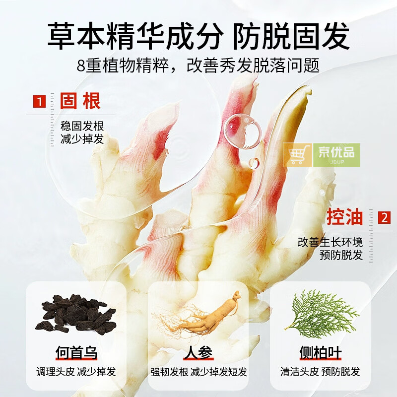 自然物语防脱固发植物洗发水去屑止痒控油蓬松侧柏叶生姜洗发露808ml 防脱固发洗发水【1瓶】 808ml/瓶