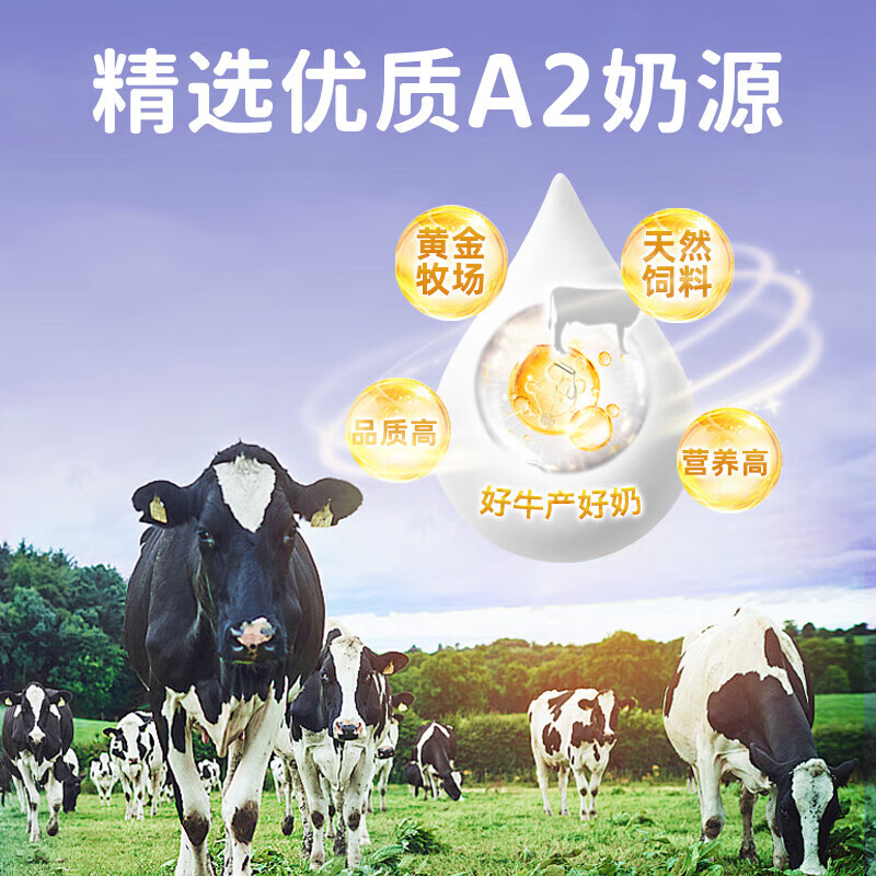 英珞维乳清蛋白粉 儿童分离Epicor接骨木莓乳清铁蛋白a2奶源进口 1g*60条/罐