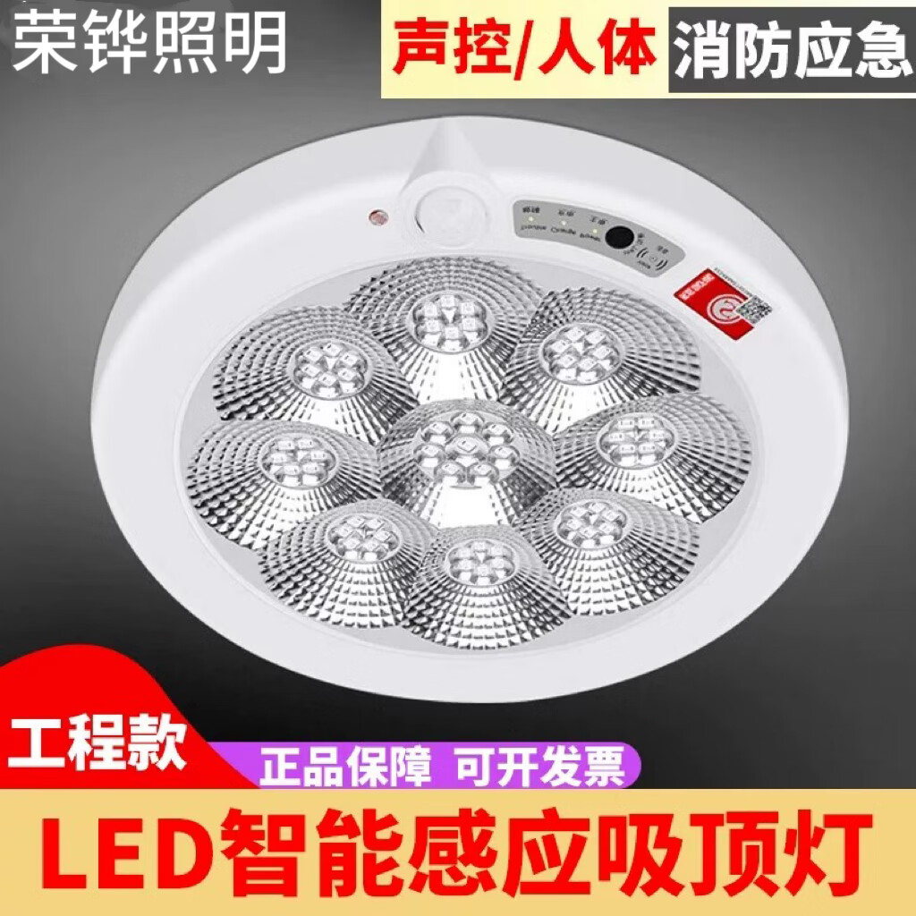 东宇照明led消防应急吸顶灯人体感应灯声控楼道过道走廊楼梯物业 人体感应吸顶灯7W直径210mm