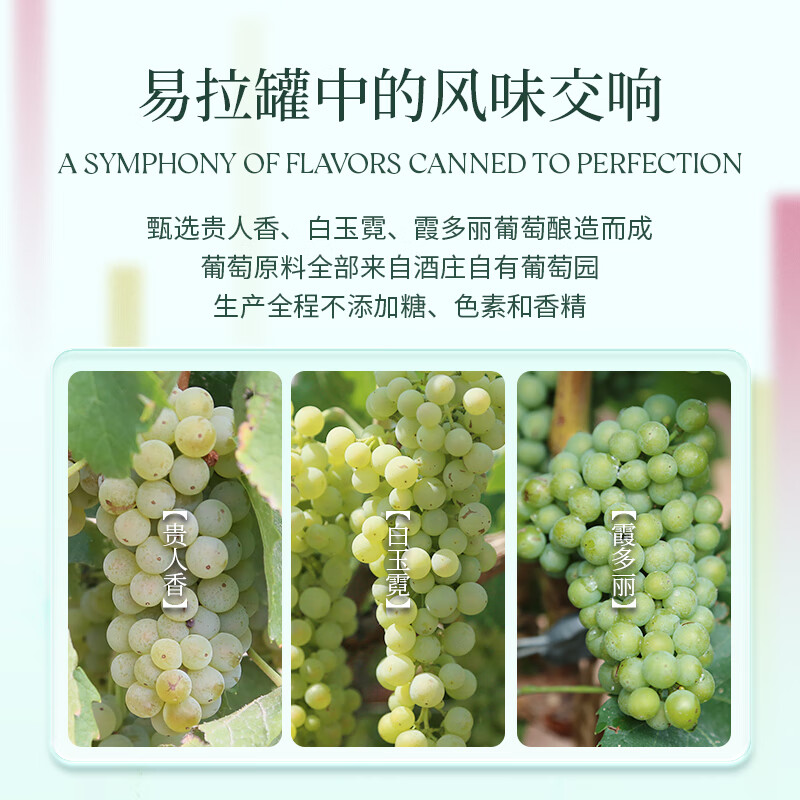 西鸽酒庄N18小罐装葡萄酒宁夏红酒贺兰山东麗国产干红干白葡萄酒  西鸽N18干白葡萄酒190ml*4罐