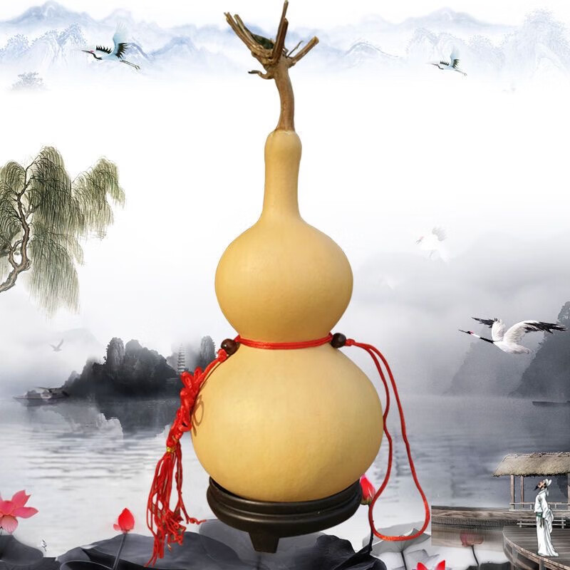 天然葫芦风水挂件客厅招财大号镇宅摆件带龙头居家办公文玩小葫芦 46至49厘米有龙头品相好 摆件送底座五帝钱