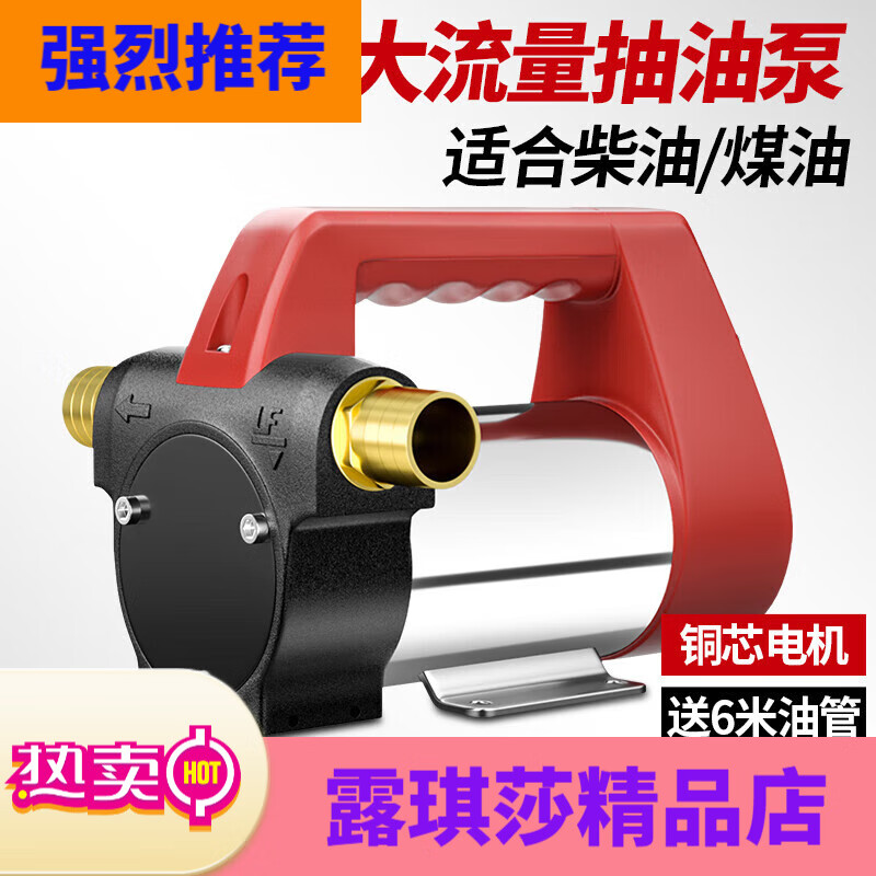 格威特電動(dòng)抽油泵12V24V直流220V交流加油泵工業(yè)柴油輸油泵加油機(jī) 升級(jí)款12V(正反轉(zhuǎn))油泵