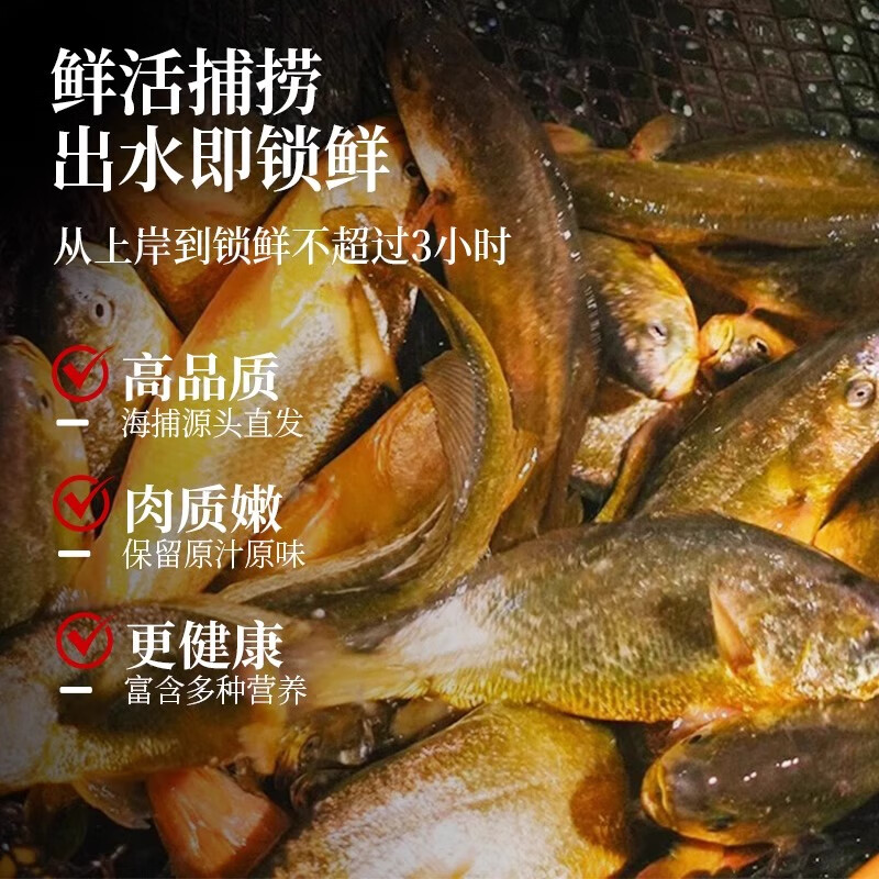 昌鲜园舟山海鲜大黄鱼礼盒半野生黄花鱼鲜活冷冻生鲜商务团购礼包送长辈 4条礼盒装【每条约1.2斤】