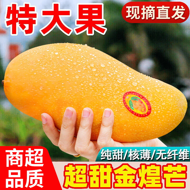 ɽķ�������ڽ��â�������͡��ش�â������ˮ������â����������ˮ������ ��ϡȱ���� ������𡿵���1��+ ����9��װ��ީ���㡿