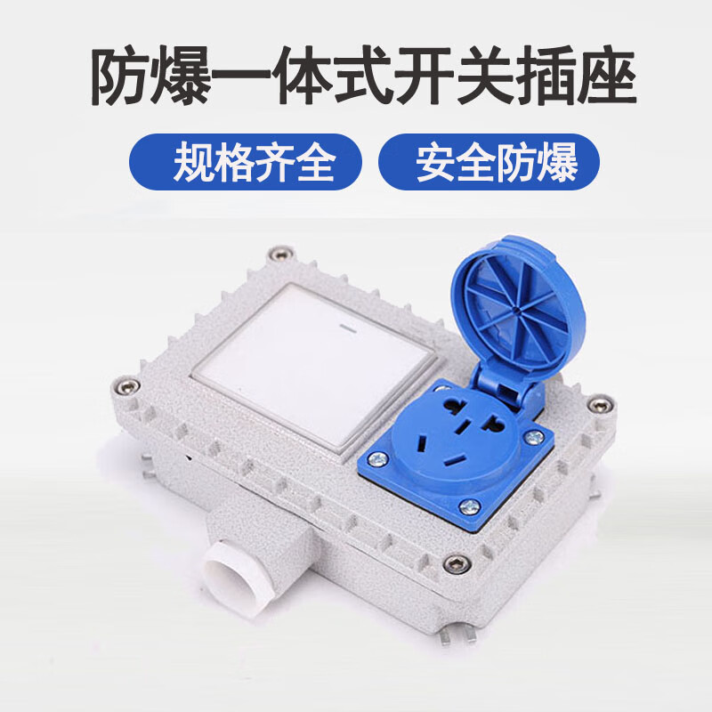 ex防爆开关插座一体防水明装墙壁五孔十孔户外照明工业开关220v 防爆