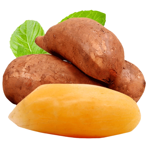 ������ ��ɽѩ���� ��������ˮ�� 10��������װ ����100g+ ����9�� 18.2Ԫ