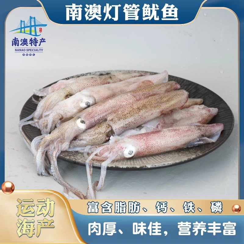 井澳南澳特产 大灯管鱿鱼新鲜速冻原产地发货运动海产 100g(净重)