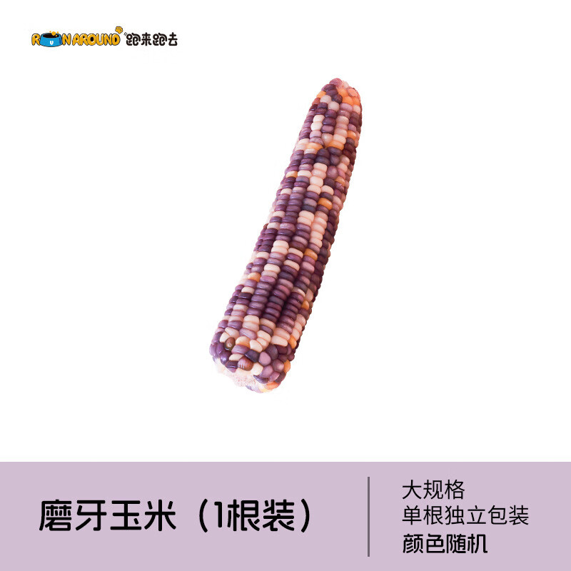 跑來跑去倉鼠磨牙玉米金絲熊小寵磨牙石天然兔子龍貓荷蘭豬 磨牙小玉米一根