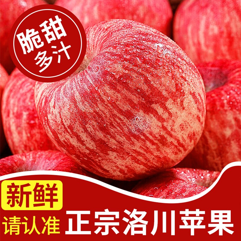 堡鮮生陜西洛川紅富士蘋果脆甜多汁時令新鮮孕婦水果生鮮蘋果整箱 70-75mm帶箱10斤(凈重8.8斤)