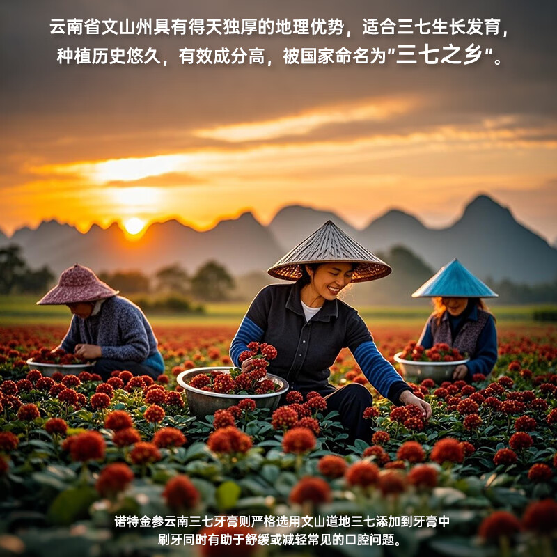 三七云南三七清火护龈去口臭牙膏套装洁净去软垢减轻牙龈问题 三七清口气牙膏110g*4