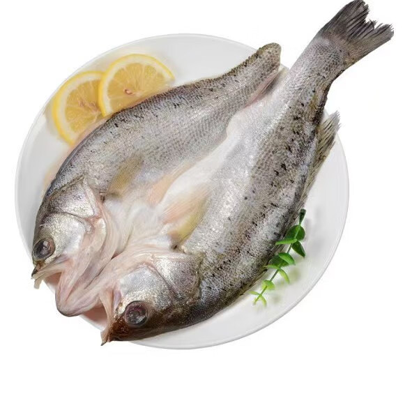 �����������ʼӹ��䶳������Ʒ���ƺ�������400-500��/�� ��������400-500��*3��