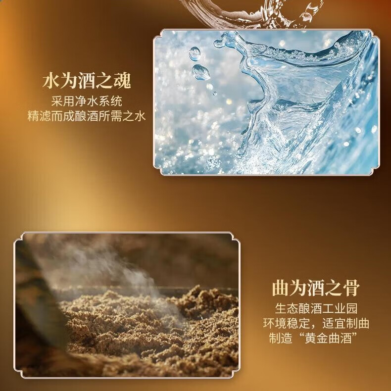 沱牌窖酒52度浓香型白酒A3A5A8中华老字号名酒粮食酒自饮送礼宴请团购 52度 500mL 2瓶 【沱牌A8】双支赠礼袋
