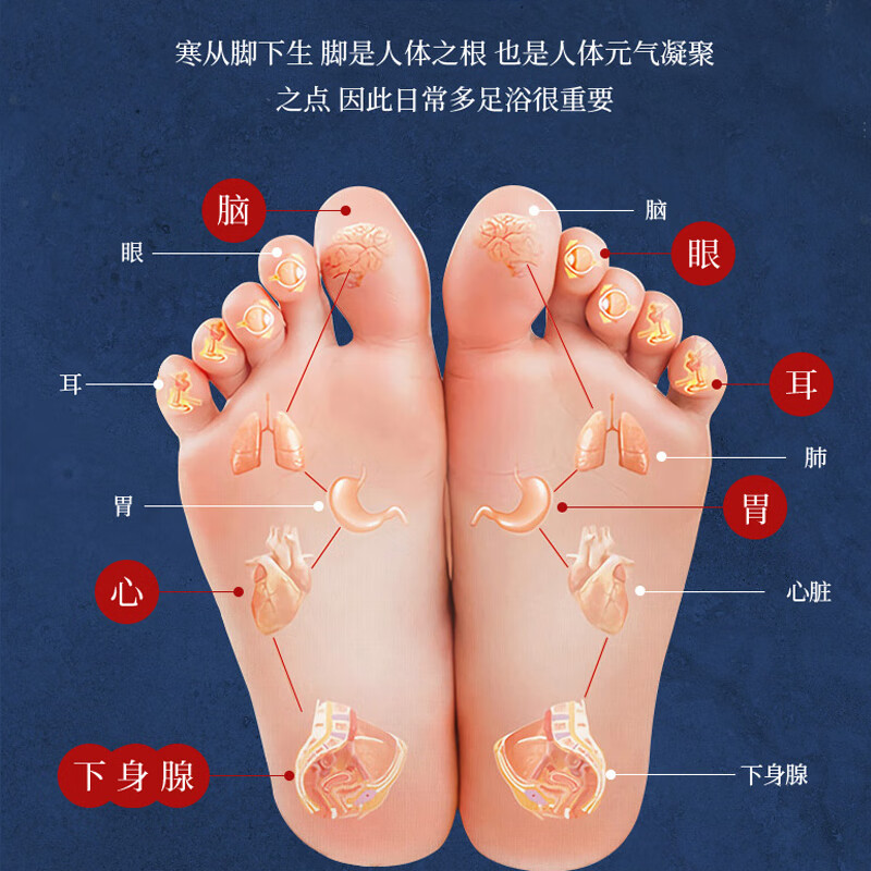 同仁堂十二味12味草本泡脚包生姜艾草红花泡脚包足浴包男女通用 十二味足浴粉包100包【实发2袋】