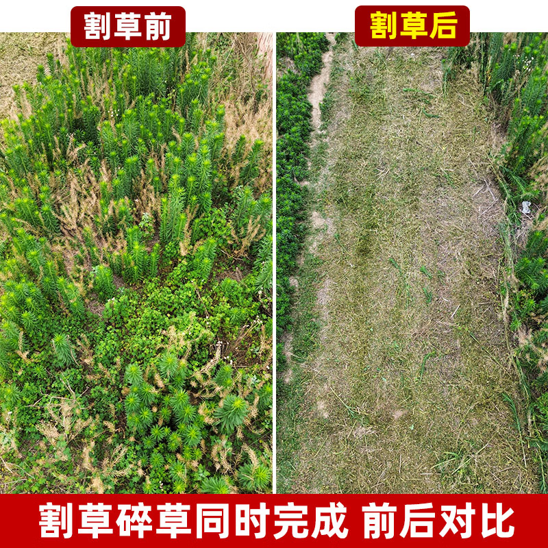 2025年割草机哪个品牌值得买？这6款性能强劲、使用方便，轻松解决你的草坪问题