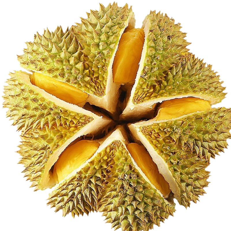 �ʼ��� ����ͷ���� ��������ˮ�� ̩������ ����2-2.5�2-3���� ����ͬ�� 66.9Ԫ(����ȯ)