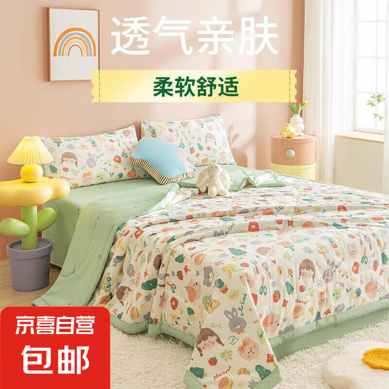 夏凉被纯棉可机洗空调被四件套里外全棉夏被夏季单人儿童薄被子 暖阳家-彩绘世界 2.0m床单款夏被四件套