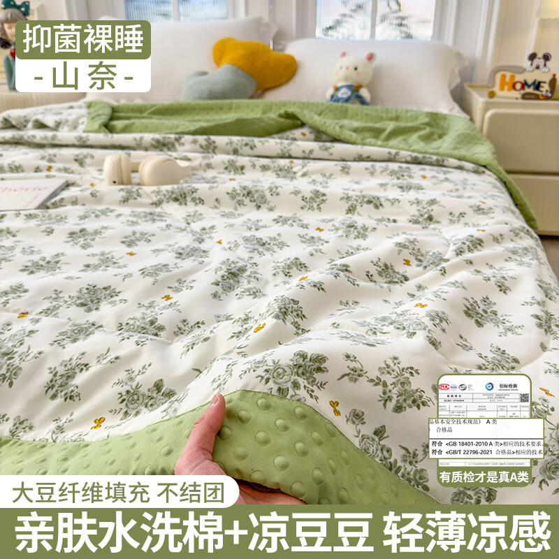 筱彤A类大豆纤维夏被凉感豆豆被夏凉被空调被夏季宿舍单人儿童薄被子 山奈【A版亲肤水洗棉B版凉感豆豆 双人空调被-180x200cm