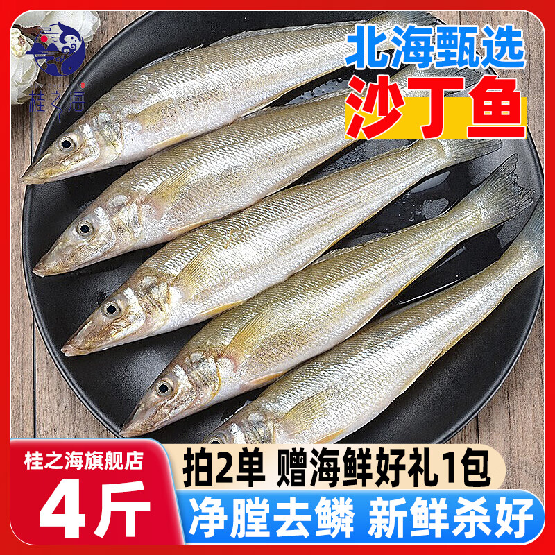 桂之海 桂（GUIZHIHAI）北海沙钻鱼新鲜海捕鲜活冷冻沙丁鱼去鳞去鳃去内脏烧烤海鲜深海鱼 5包中号【15-18条/包】共4斤