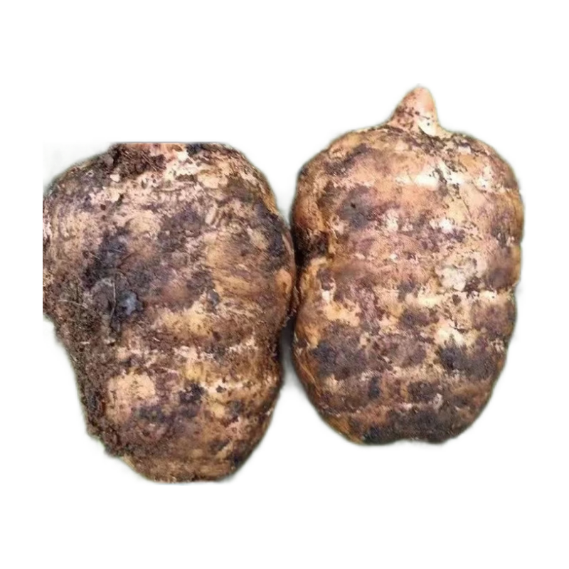 ���ڲ�������Ѱ˳���ٷ� ��ͨ������������С�ݰ������Ұ�� �����ַ���ɽ������ �й���4-7��һ� ����5�� 133.6Ԫ