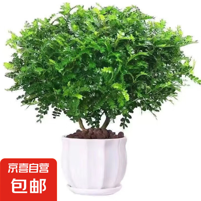 ����ľ���� 6�����1��