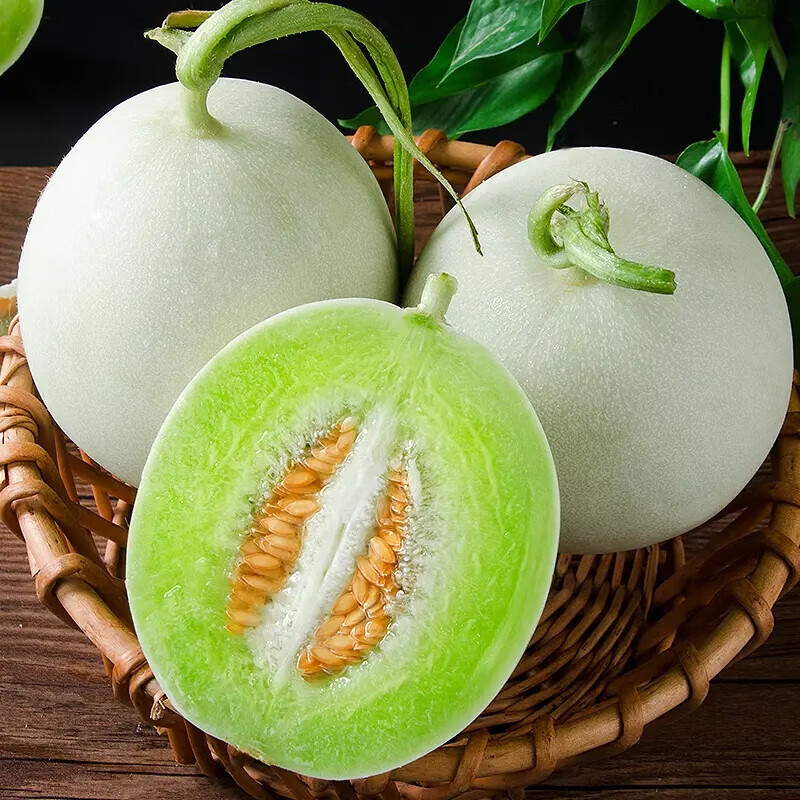 智洲国产玉菇甜瓜 新鲜水果生鲜 整箱约3.3斤-3.0斤/净含量1200g