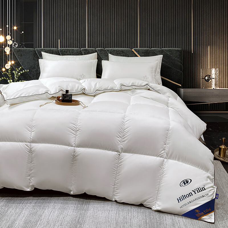 浪莎（LangSha）A类羽丝绒被95鹅毛绒被冬被加厚保暖鸭丝绒被6-10斤秋冬被子被芯 白色【抗寒保暖 混带95白鹅绒】 200*230cm8斤【室温0-5℃】